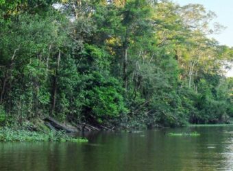 Satellite Data and Sustainability-Linked Bonds: Monitoring Land Use in Peruvian Amazon 