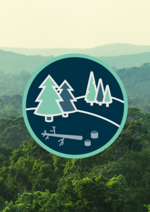 ITT released for GDA Forest Management