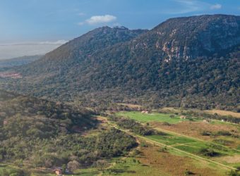 Improving Livestock Farming in Paraguay Through Earth Observation