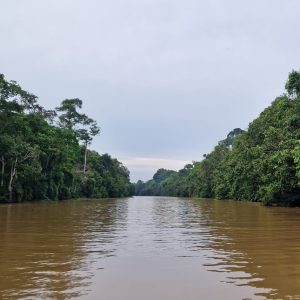 Mangrove and Protected Areas