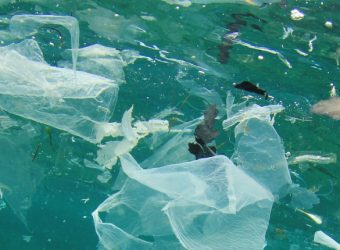 Tracing macroplastics in West Africa’s coastal waters