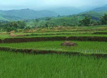Using Geospatial Data to Anticipate Food Insecurity in Nigeria