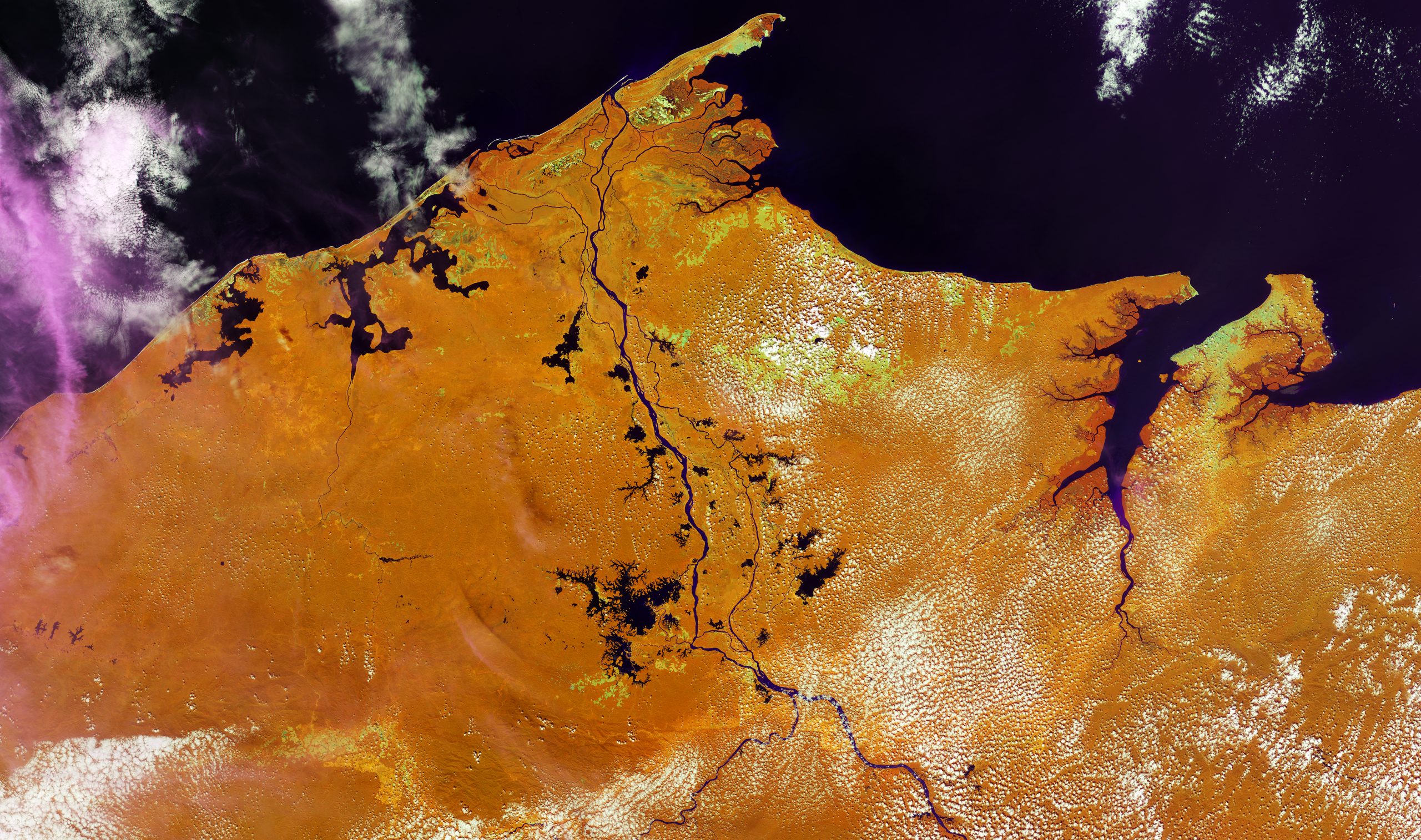 Earth from Space: Land of rainforests