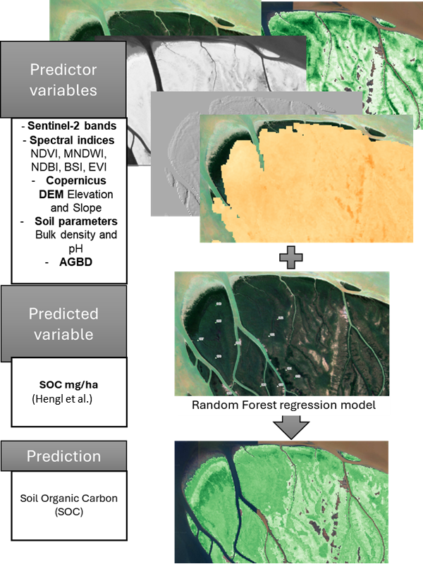 Maps showing workflow for SOC prediction.