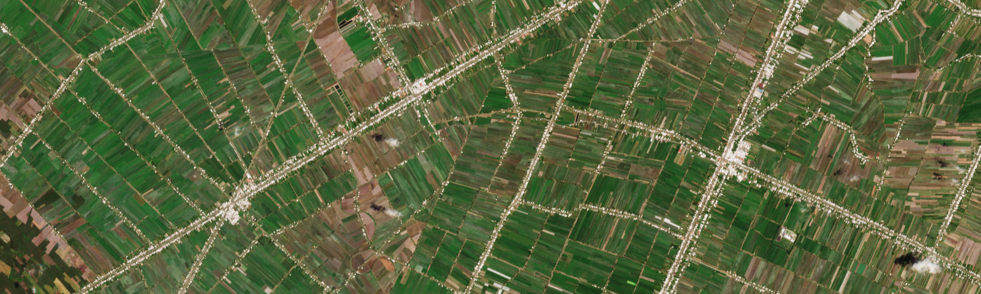 Using Earth Observation to monitor climate-resilient rice production in West Africa