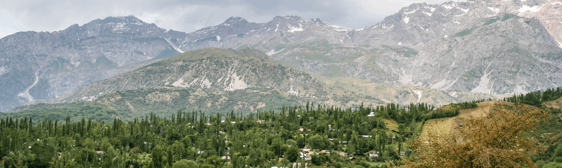 Conservation and afforestation for resilient ecosystems in Kyrgyzstan with Earth Observation
